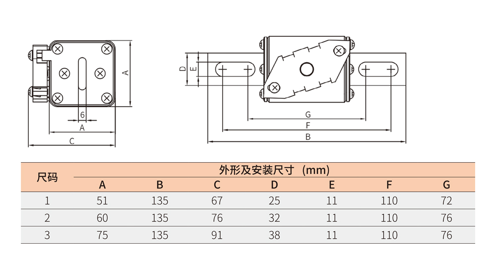 DNT1-J1Rcc.jpg