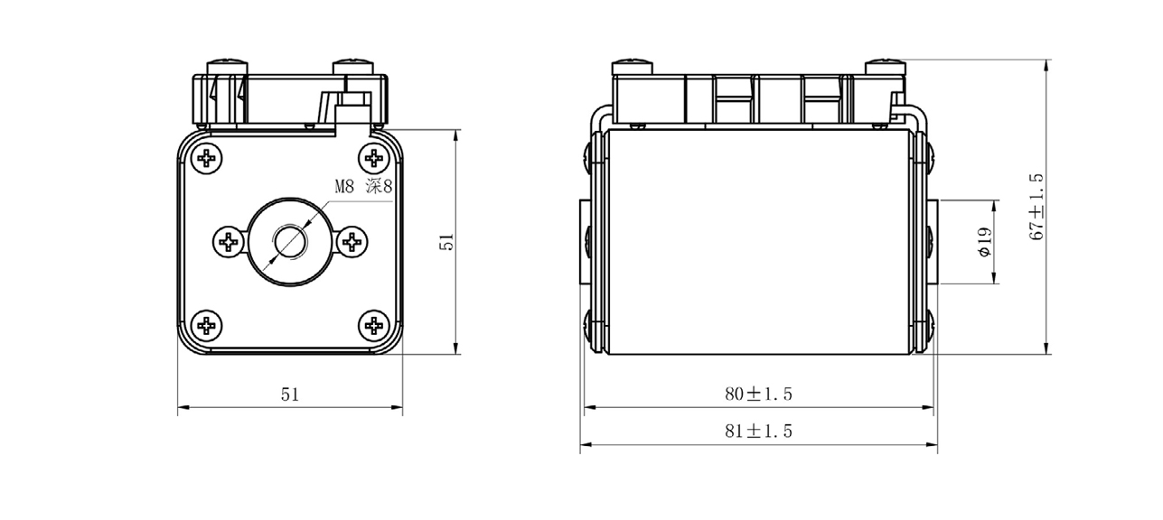 DNT1-R1J-1.jpg